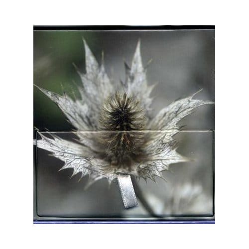 Memo Block Winter Flower - Peony Press
