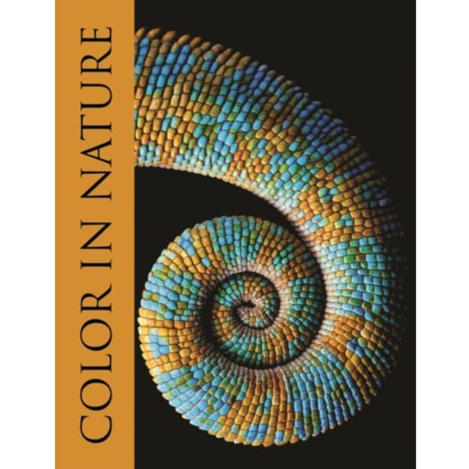 Color In Nature - Justin Marshall