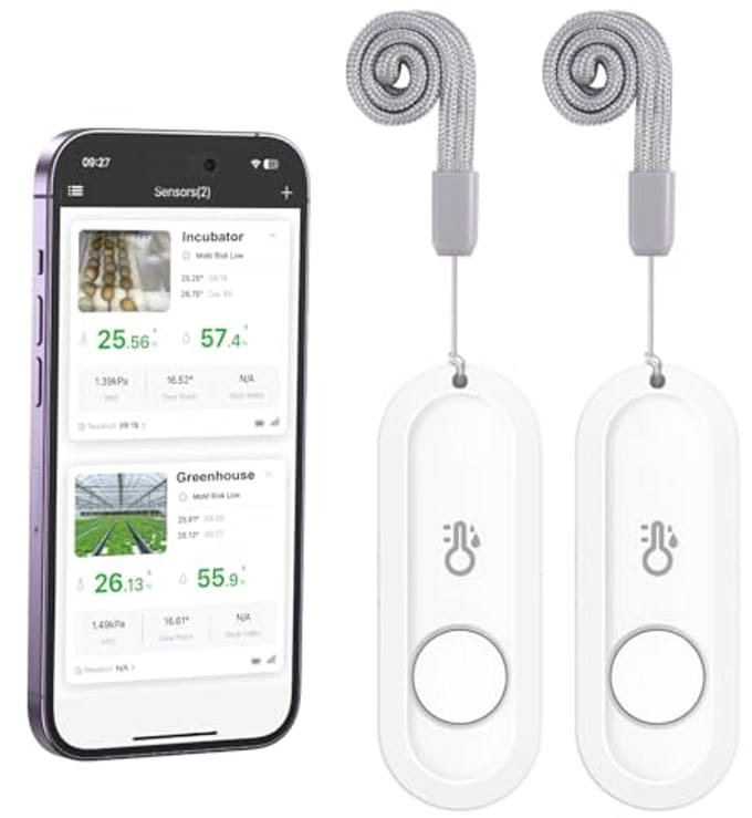 Bluetooth Thermometer en Hygrometer - Mini Draadloze Thermo-Hygrometer met Smart Sensor App voor Huis en Babykamer (Set van 2)