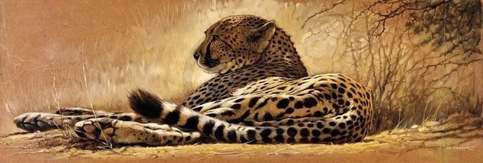 Kunstdruk Renato Casaro - Little rest 99x34cm