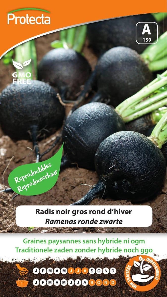 Protecta Groente zaden: Rammenas ronde zwarte