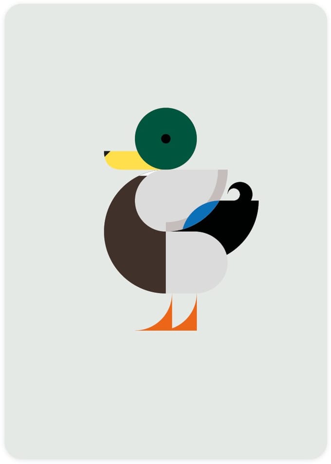 Eendje - postcard with Mallard - set of 4 postcards - waterfowls