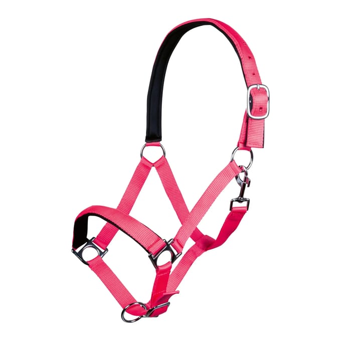Halster voor paarden HKM Stars Softice