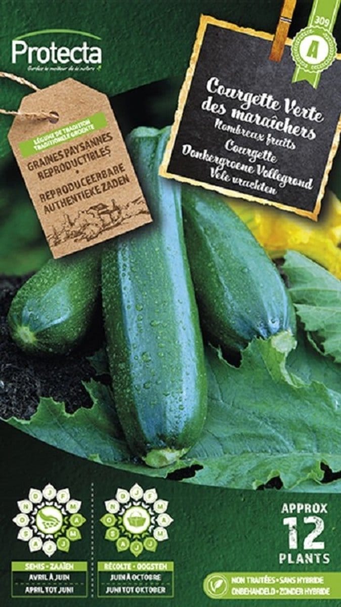 Protecta Groente zaden: Courgette Donkergroene Vollegrond