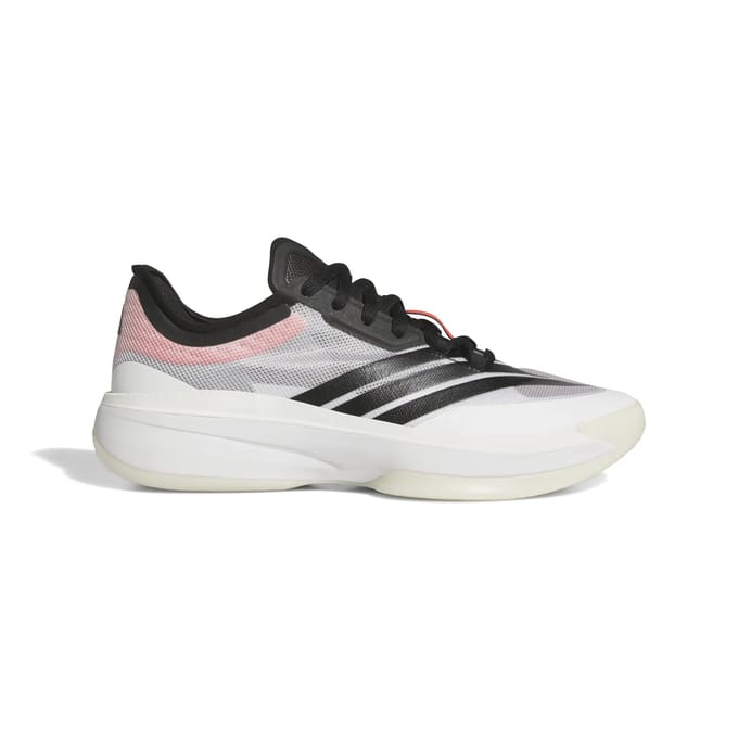 Basketbalschoenen adidas Baskets Adizero Select 3.0 léger