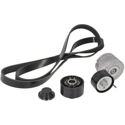Schaeffler Ina V-snaar set (met rollen) INA 529 0012 10