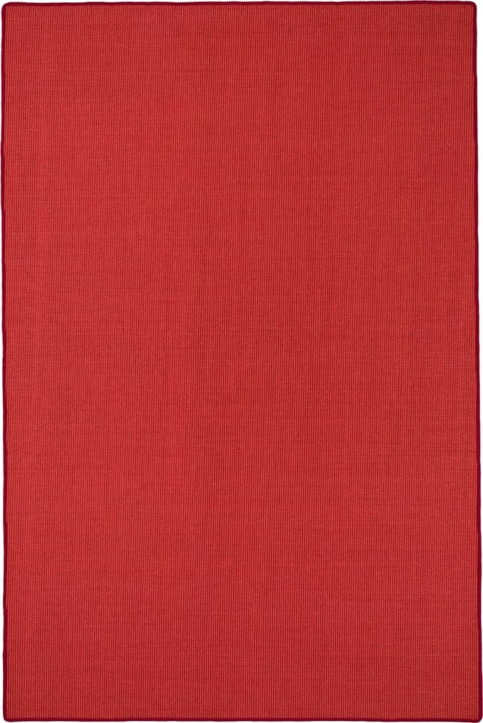 Snapstyle Vloerkleed Sisal Natuurtapijt Klassiek