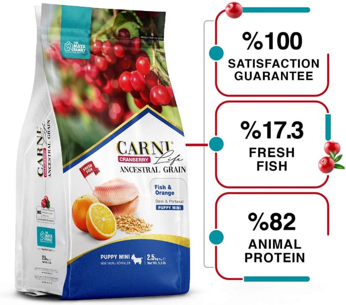 Carni Life Cranberry ANCESTRAL GRAIN FISH & ORANGE PUPPY MINI