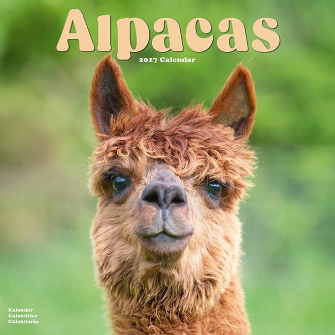 Alpaca Kalender 2027