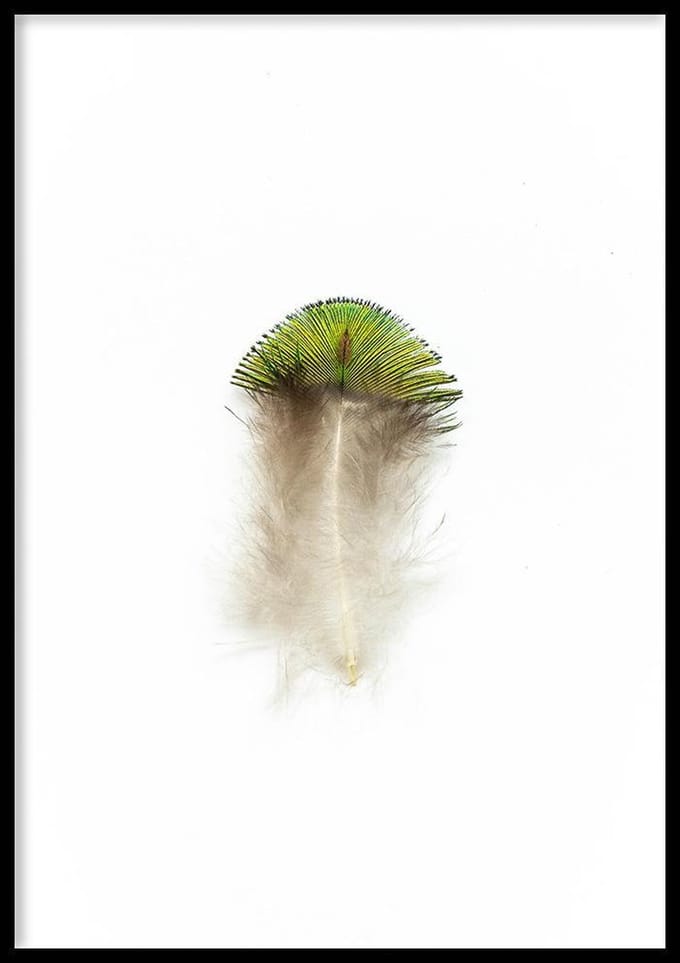 Poster Mini Pauwenveer - 50x70cm - Poster Dieren