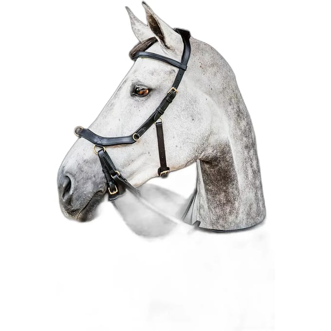 Horseware Inglesa Micklem 2 Multi Hoofdstellen Zwart Cob
