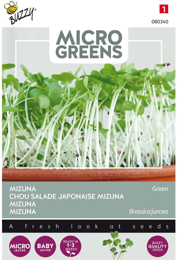 Buzzy® Microgreens, Mizuna Green