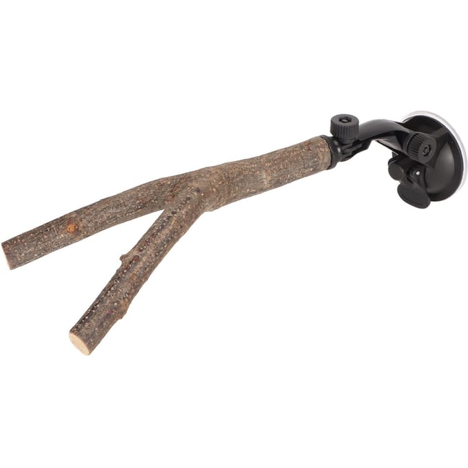 Vogel Tak Stok Standaard Training Interactief Voorkom Uitglijden Houten Papegaaienstok met Zuignappen voor 20cm / 7.9in gray