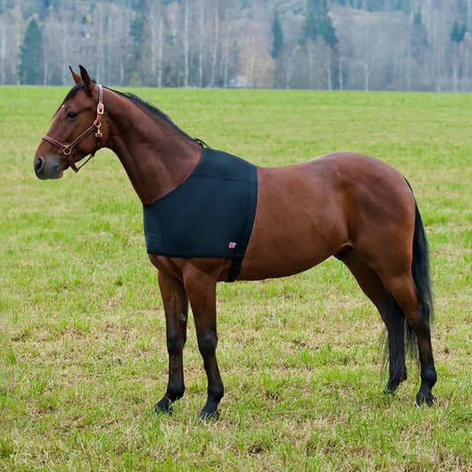 Schouderbescherming voor paarden onder dekking Horze ComForce