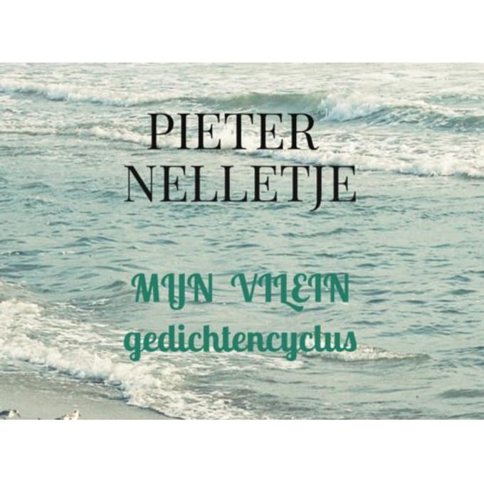 Mijn Vilein - Pieter Nelletje