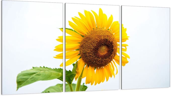 TMK ArtDeko Serie - Snijplank - Glas - 30x52 cm - Beschermend