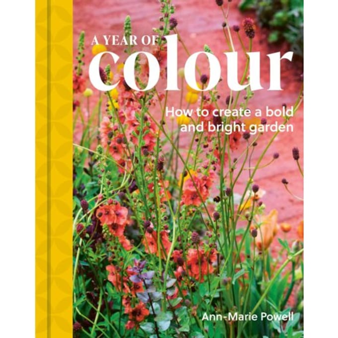 A Year Of Colour - Ann-Marie Powell