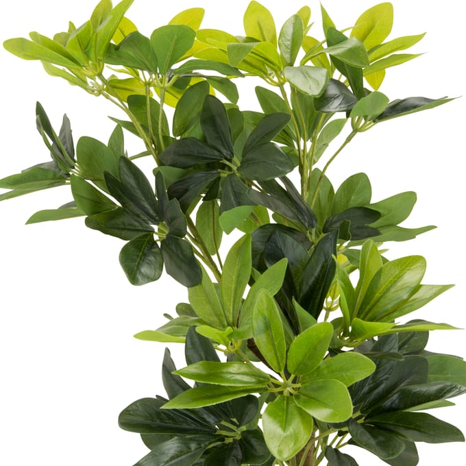 Kunstplant / Kunstboom SCHEFFLERA groen hjh OFFICE