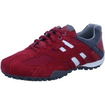 Lage Sneakers Geox -