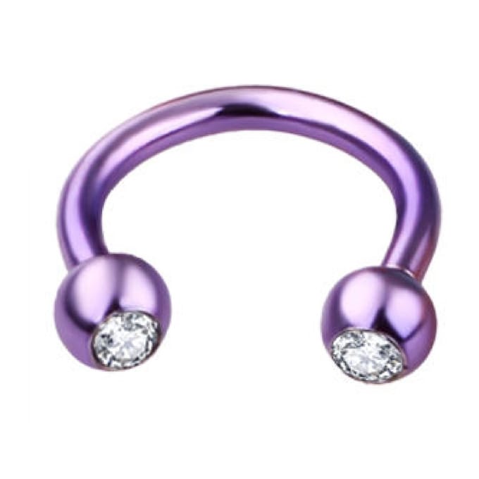 Paars Met Steentjes - Neus / Septum / Helix Piercing