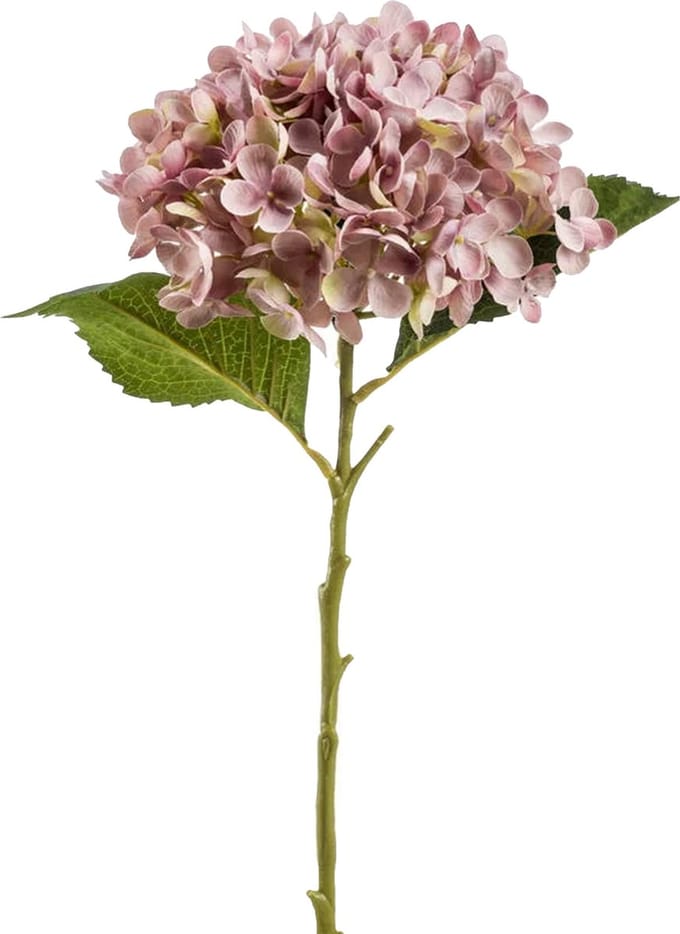 Emerald Kunstbloem hortensia tak - Annabelle - 52 cm - paars - Kunst zijdebloem - Hydrangea