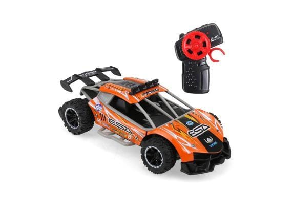 Racebuggy 1:24 RC RC Auto's