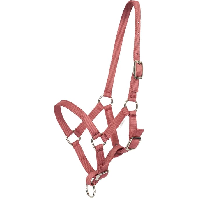 Halster voor paarden HV Polo Nena