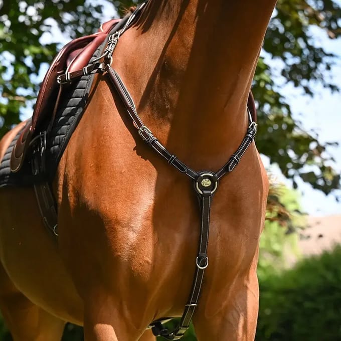 Jachthalsband voor paarden Jump'In Wednesday