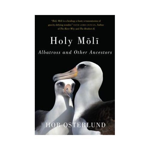 Holy Moli - Osterlund, Hob