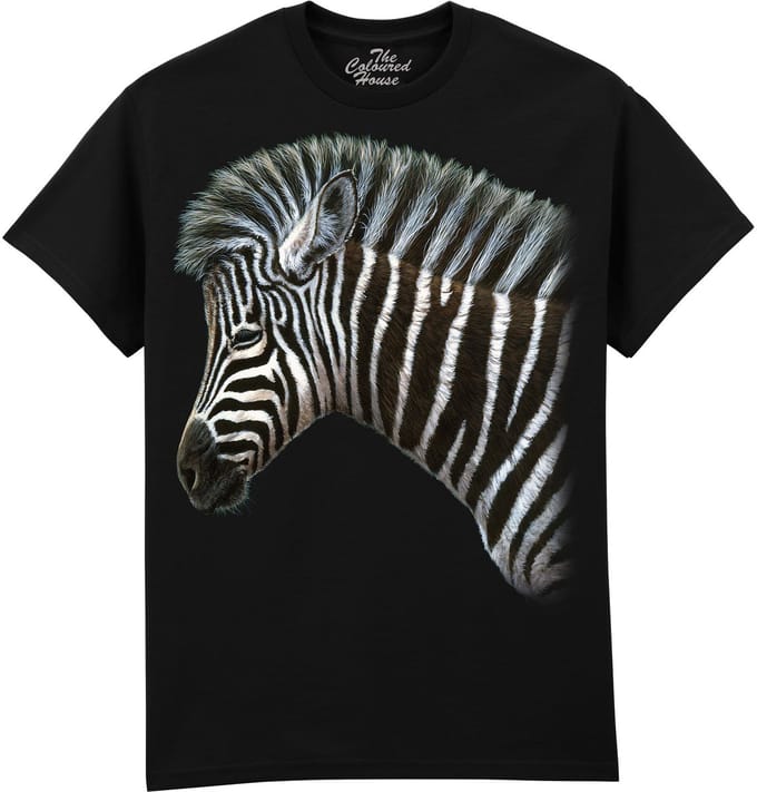 Zebra Foal The Coloured House T-shirt M