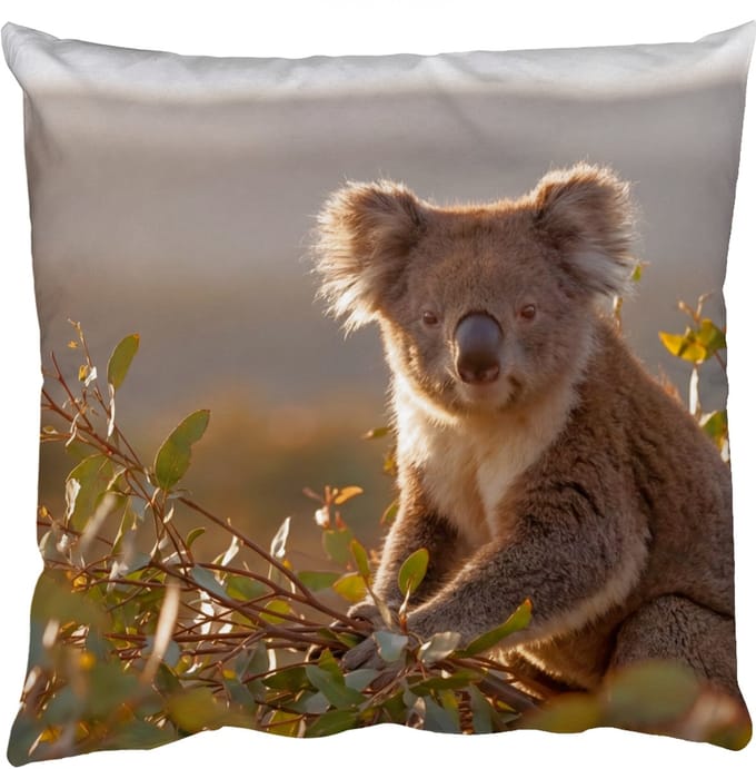 Sierkussens - Kussentjes Woonkamer - 40x40 cm - Koala - Bladeren - Ochtendlicht