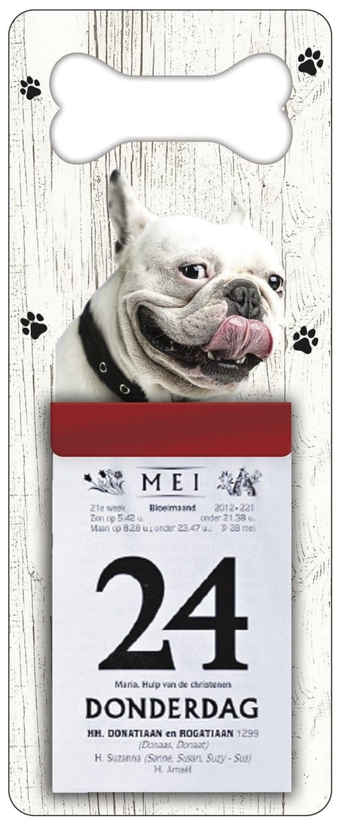 Scheurkalender 2027 Hond: Bulldog