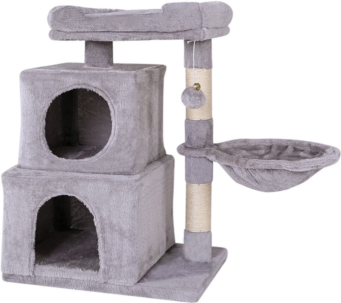dibea  klimboom, kattenkrabboom, hoogte 70 cm, lichtgrijs