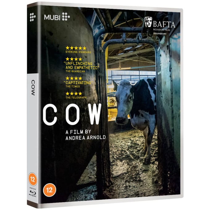 Cow