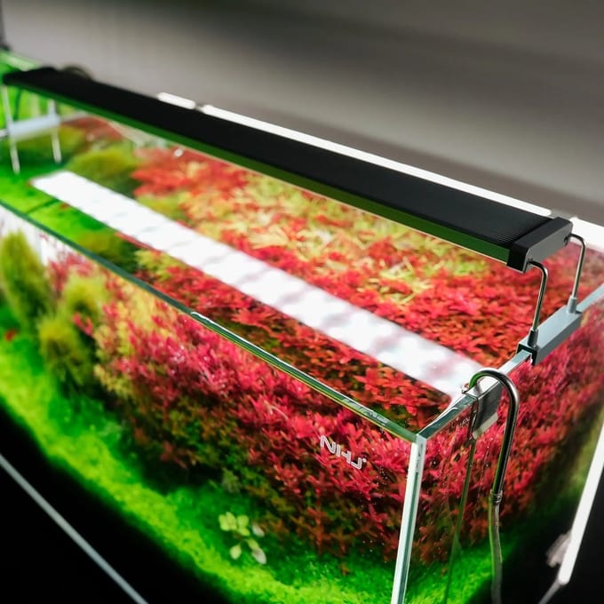 Chihiros B-serie 30-50cm | Aquarium Led Verlichting | Met Bluetooth controller