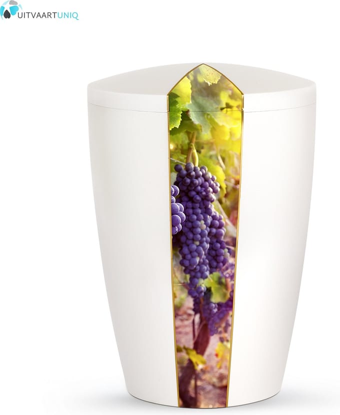 Urn wit parlemoer wijnstok - bio