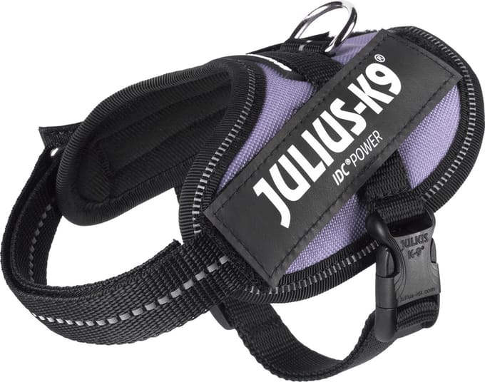 Julius-K9 IDC®Powertuig, 2XS - Baby2, paars