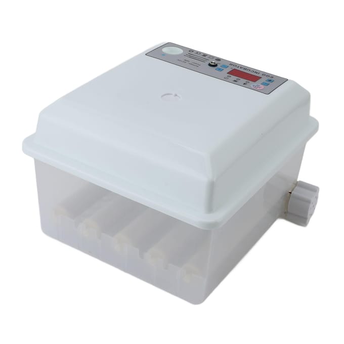 12 Eieren Incubator ABS Schuim Pluimvee Broedmachine met Automatische Temperatuur- en Vochtigheidsregeling white