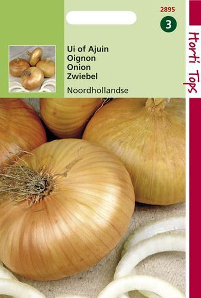 Hortitops Zaden - Uien Noordhollandse Strogele