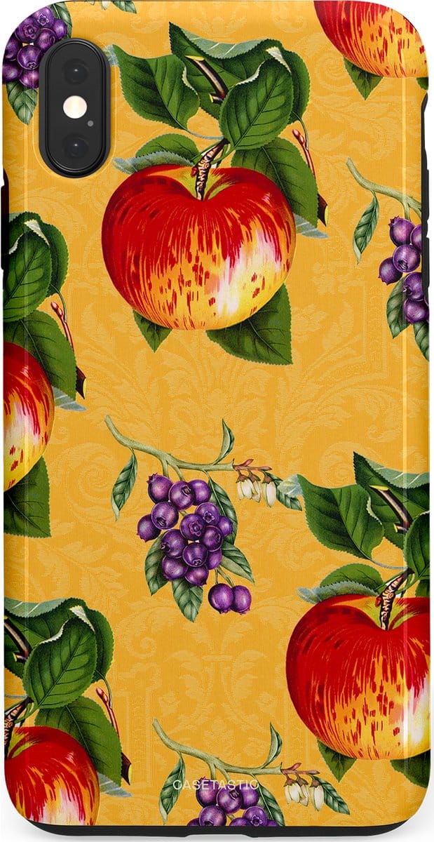 Casetastic hoesje geschikt voor Apple iPhone XS Max - Dubbellaagse bescherming - Picknick - Fashion Case - Goud Donkergroen Rood Beige