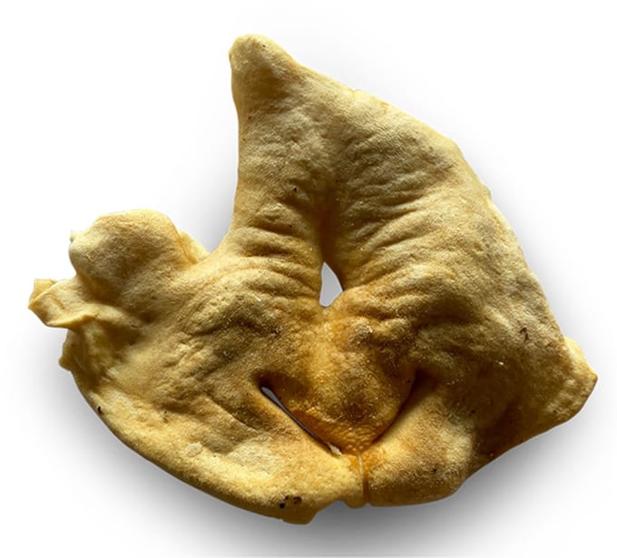 Lamsneus 50 stuks Natuurlijke hondensnack