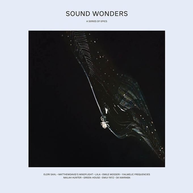 Various Artists - Sound Wonders: A Series of Epics (LP) (Limited Edition)