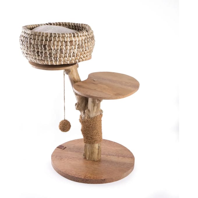 Kattenboom Martin Sellier Cafeier panier