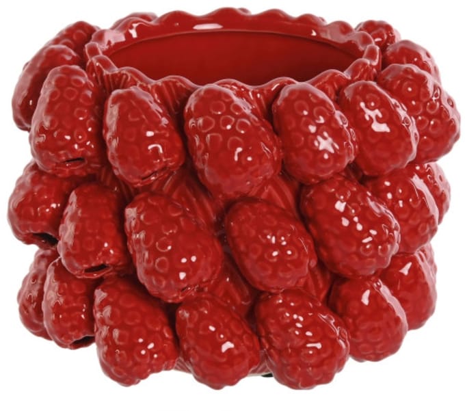 Framboos bloempot - Item Int.