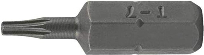 SW-Stahl TBM/4-T40 schroefdraaibit, 6,3 mm (1/4") aandrijving TR-profiel