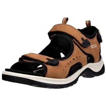 Nette Schoenen Ecco Offroad Andes Ii