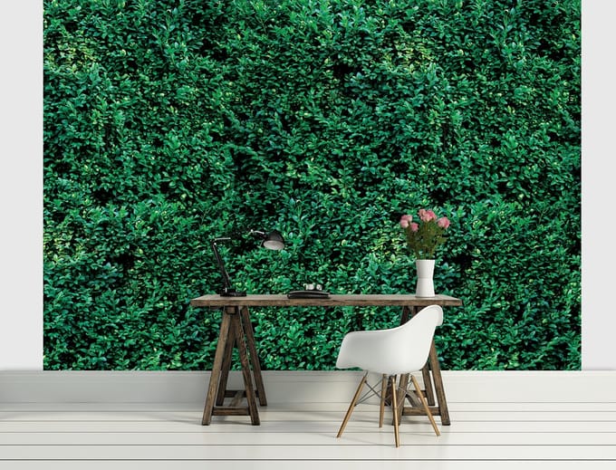 Poster | Groen | 104 x 70,5 cm