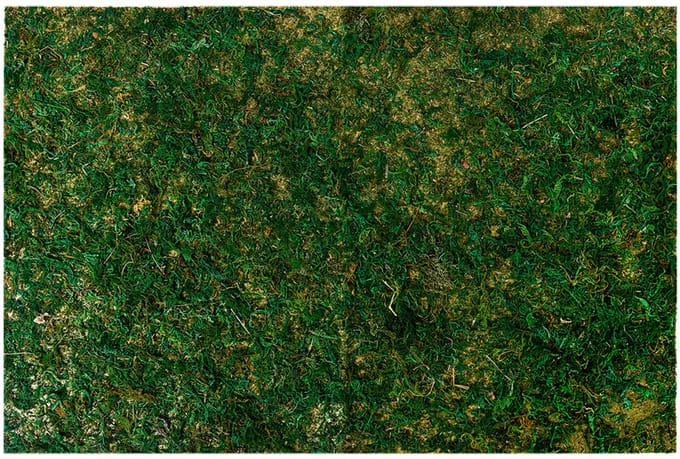 Clayre & Eef Decoratie 60x40 cm Groen Synthetisch