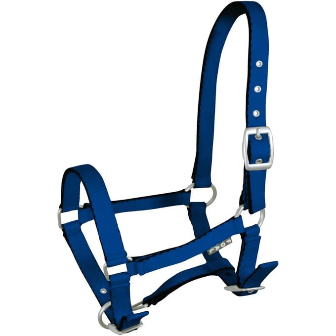 Halster voor paarden York Tobi