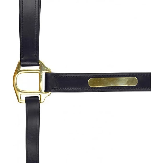 Norton Equestrian Double Adjustment Halster Goud Cob
